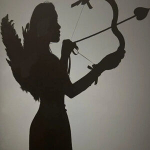 Guided Wingwoman Service